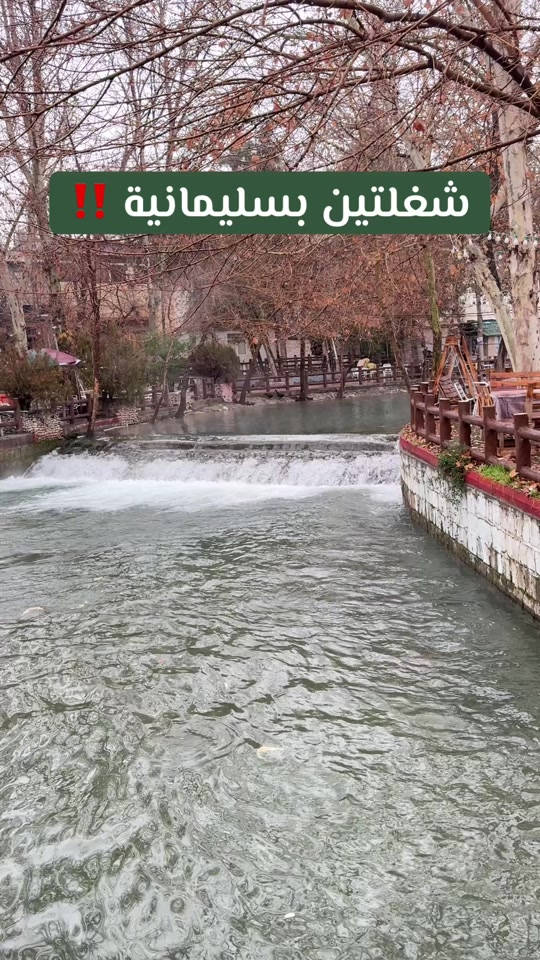 شقتين • سليمانية • ايجار