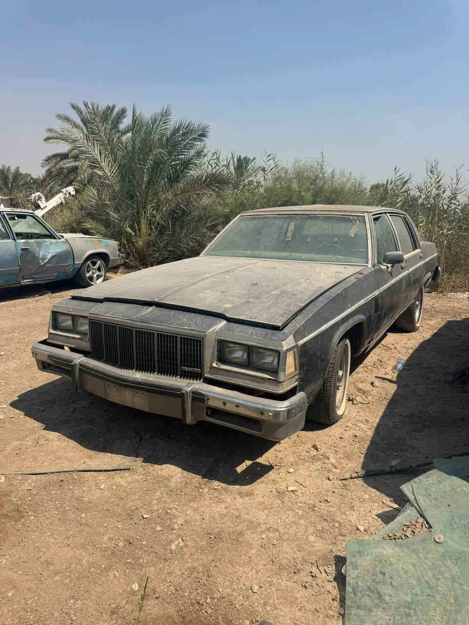 بيوك • شغاله • للبيع