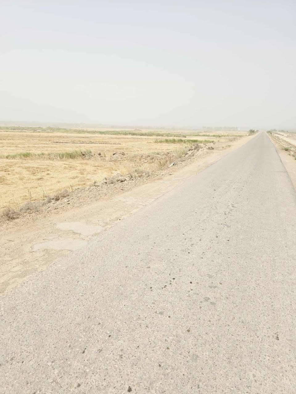 ارض زراعي طابو زراعي صرف مداور ٢يوم ٦دونم عل سياحي شارع مستوصف ٥٠٠متر عن شارع عام متوفرقم كافة خدمات سعر الدونم ٣٣مليون معه المجال ***********وتساب اتصال عنواني الكوفه شارع سياحي قرب سيطرة معمل سمنت كوفه جهة سياحي
