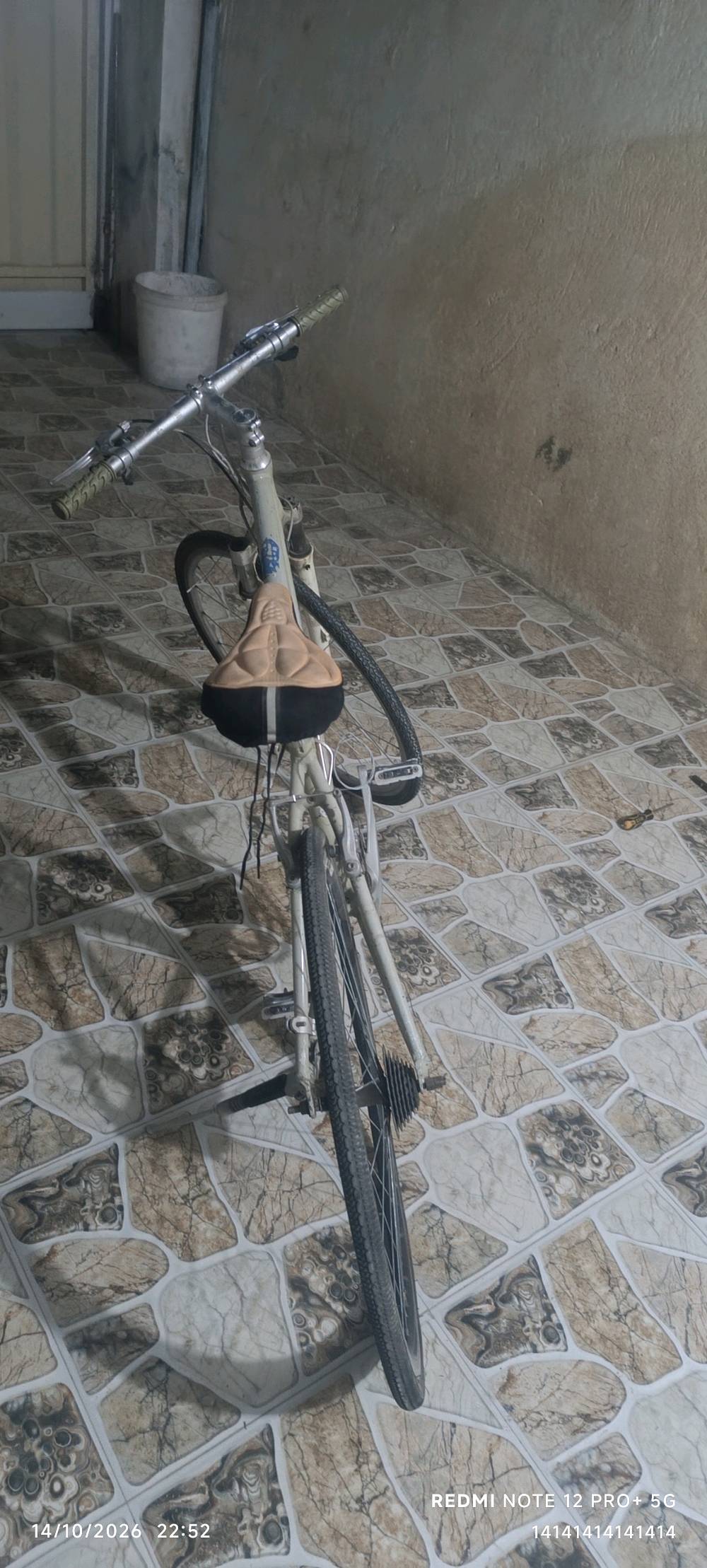 باسيكل • نضيف • بدون زنجيل
