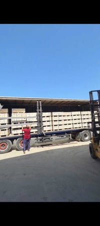 بطاريات داينس ١٦ك • كمية قليلة • بغداد الجرف