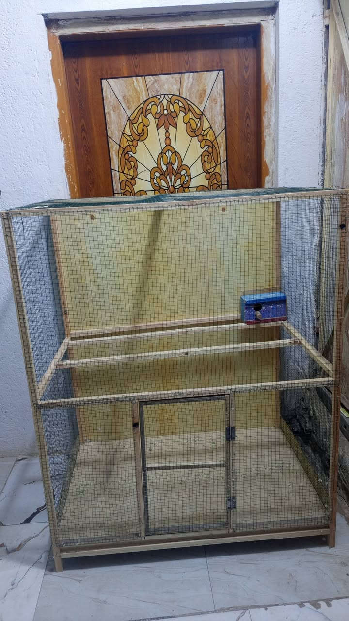 قفص للبيع حجمه كبير
سعره 25 مكان كوت حي الجهاد 
***********
