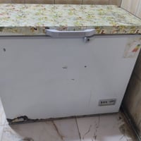 مجمدة • نظيفة • تجميد فول