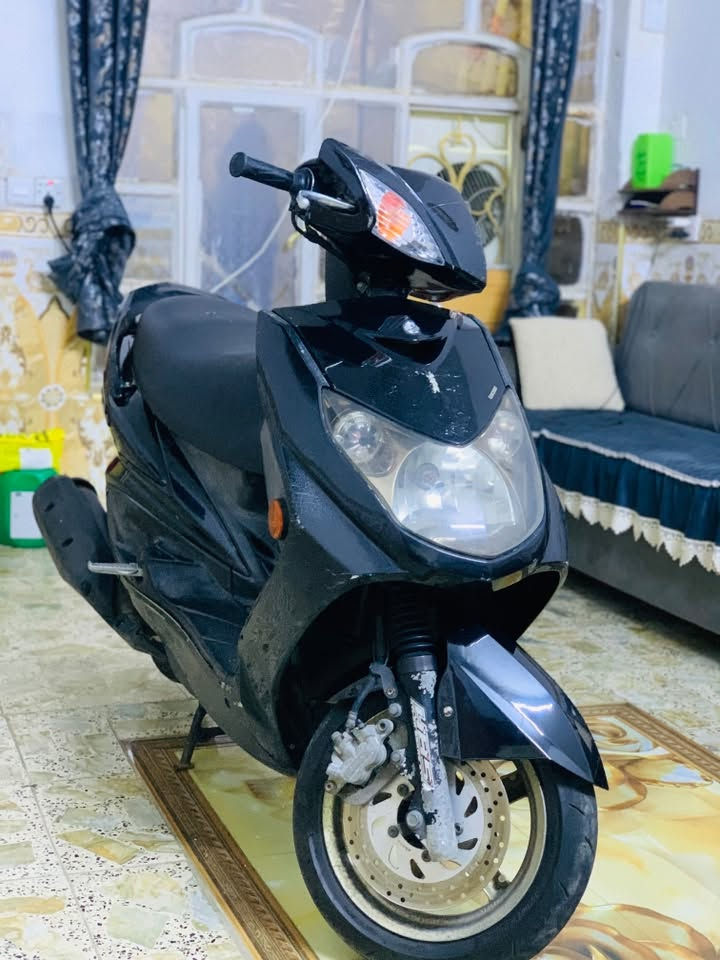 سكنس نوزل • فحل • نظيفه
