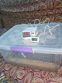 فقاسة بيض • ٤٥-٥٠ بيضة • ناصرية مركز