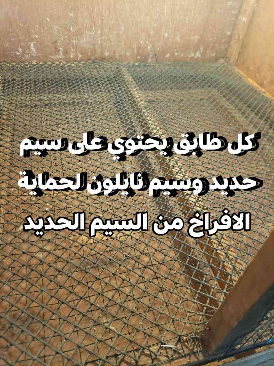 السلام عليكم متاح حاضنة افراخ للبيع 
🔹الخاصة طبقين 
🔹ابعاد كل طابق الطول 60 العرض 60 الارتفاع 60 
🔹الارتفاع الكلي 120سم 
🔹كل طابق يحتوي على جرار لتنظيف الفضلات 
🔹كل طابق يحتوي على كلوب حراري 
🔹السعر 25 وبيها مجال 
📞***********
📍العنوان موصل الأيمن حي المطاحن
