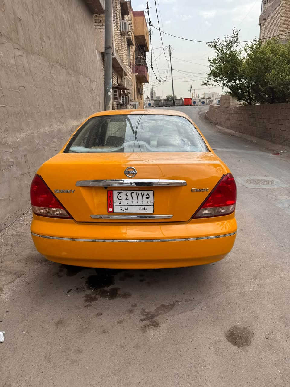 صني • ٢٠٠٩ • سنوية ساقطة