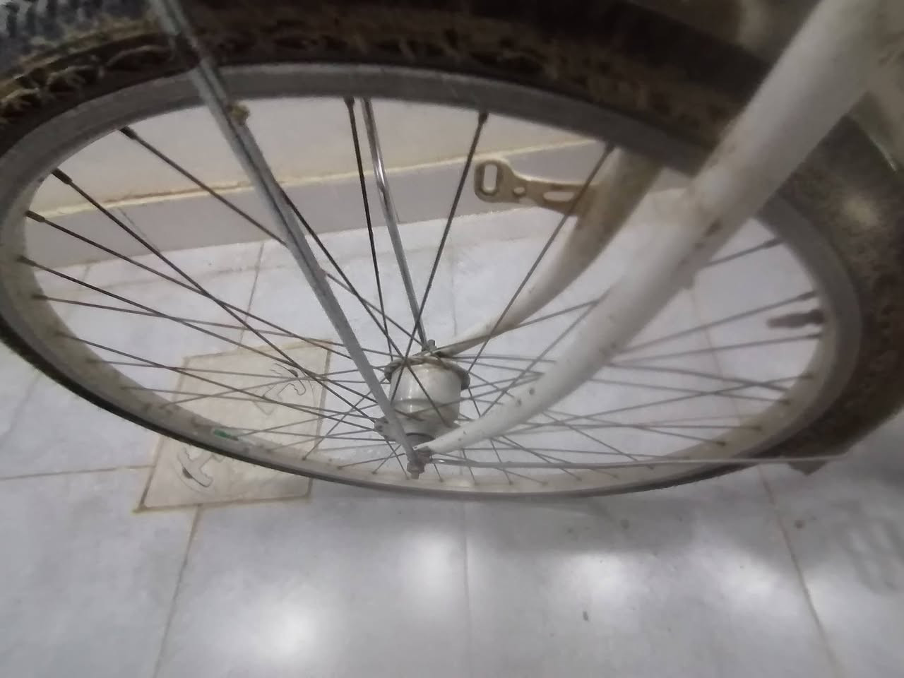 محتاج واريد ابيعه سعره يوصل 50 وبي مجال محتاج فلوس ايجار واريد ابيعه اتواصل على الواتساب على هذا الرقم تقدر تدق مكان ديالى بعقوبه تحرير الحولي ما ابي اي اشكال وكل شيء ما ناقصه***********
