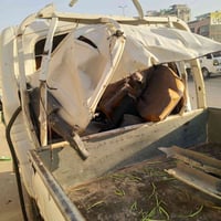 للبيع كيا موديل 2018  اضرار السيارة فقط قمارة  شاصي +محرك مابيهن شي فق...