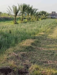 دونم • منطقة فندقية • سند ٢٥