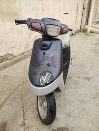 بوتين • معمر • شغال