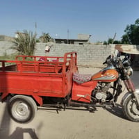 ستوته شقاله • بدون اوراق • جاهزه