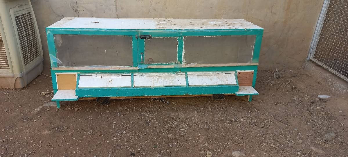 حاضنة فراخ • ١٨٠سم • ٧٠سم