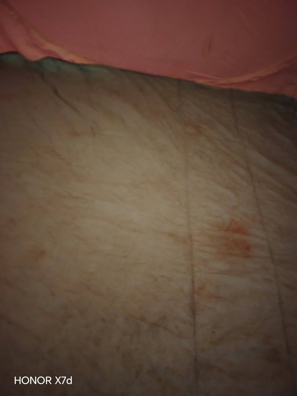 سلام عليكم خيمه   جديده  تسع ٧ نفرات السعره 50 بيه مجل وبعد عدنه وحده  جديده  75  حلوه شيل 10 نفرات  ***********
