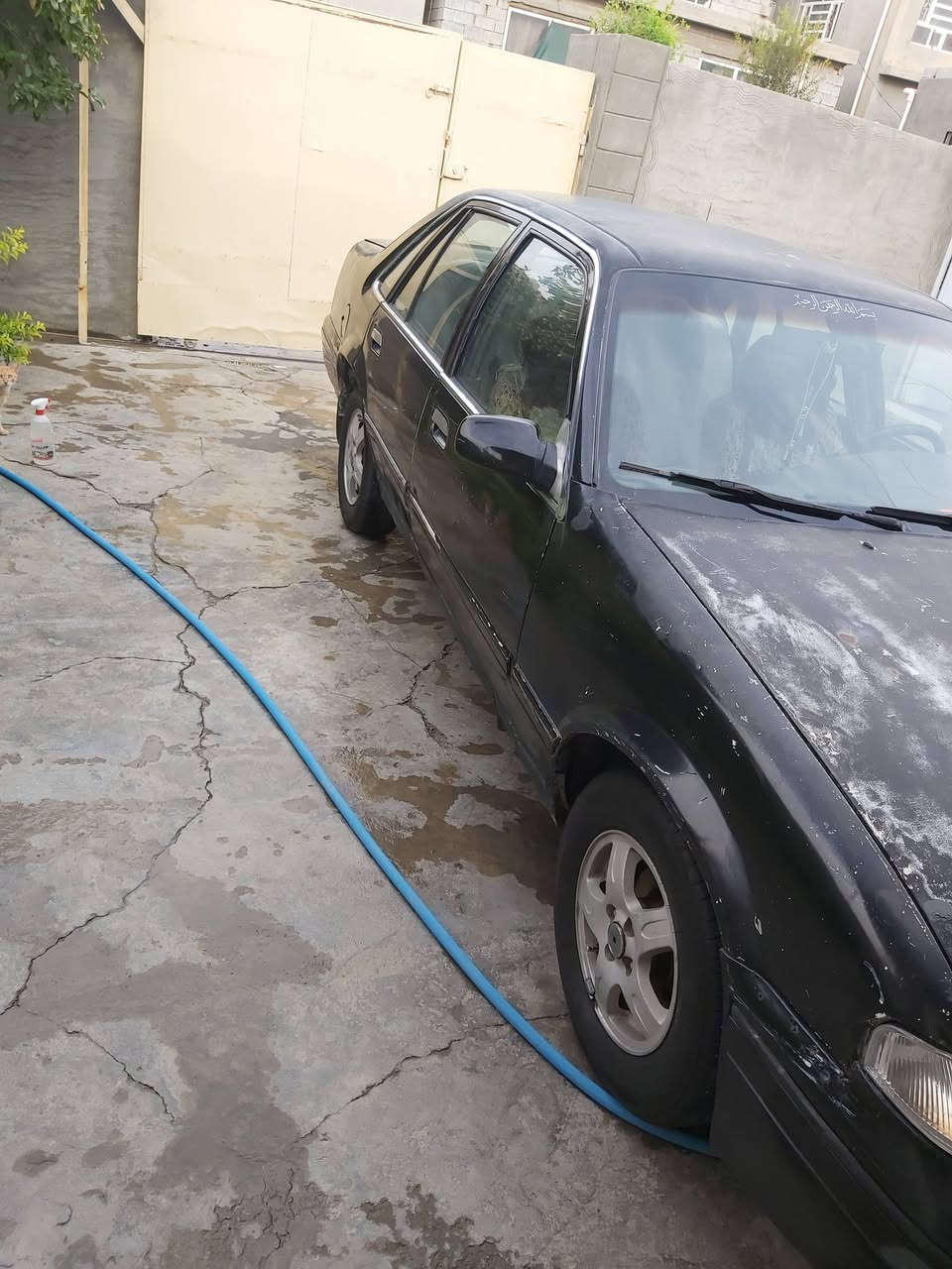 برنس • ١٩٩٦ • سنوية لحد ٢٠٢٧