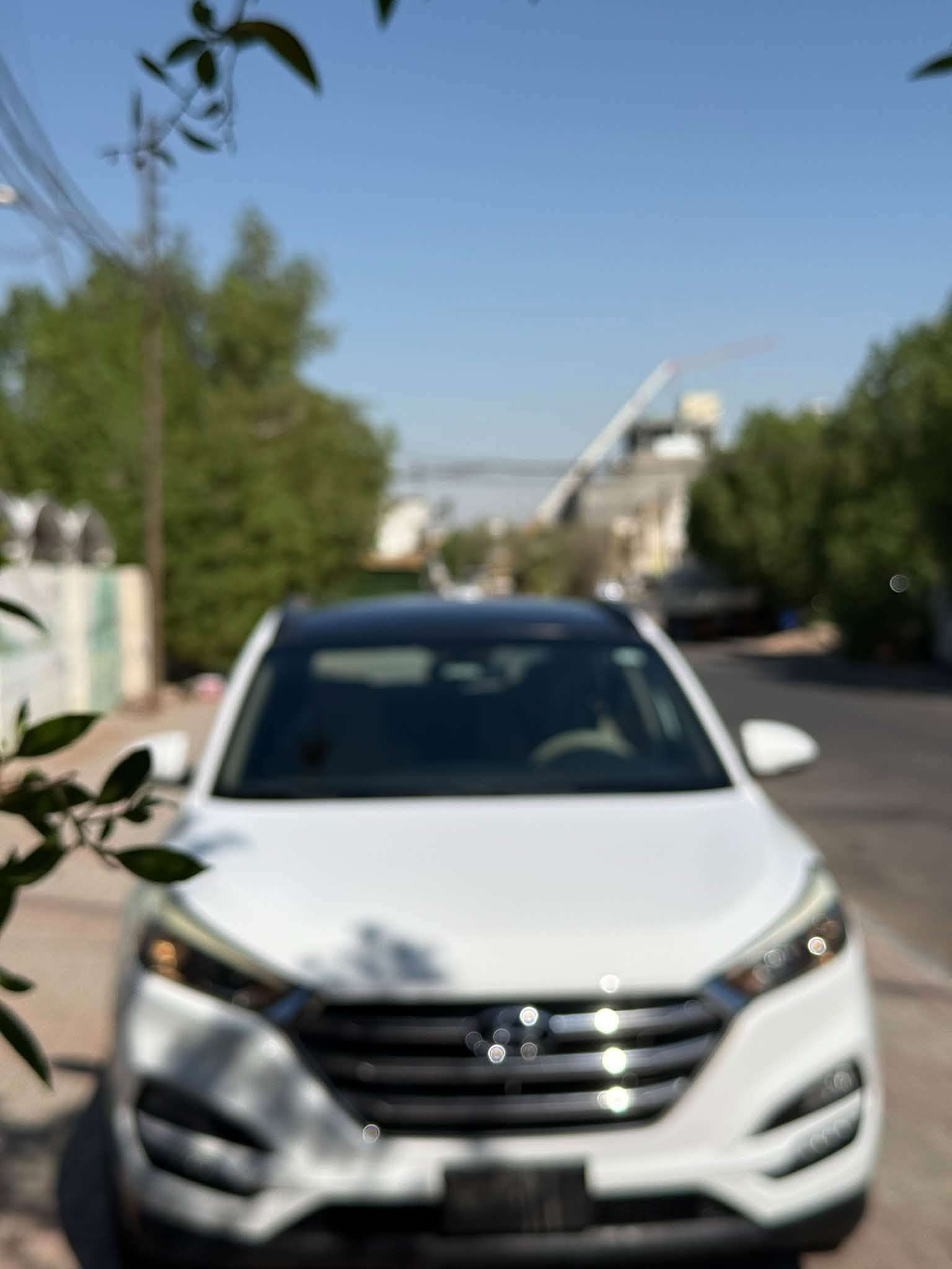 توسان • ٢٠١٦ • بدون صبغ
