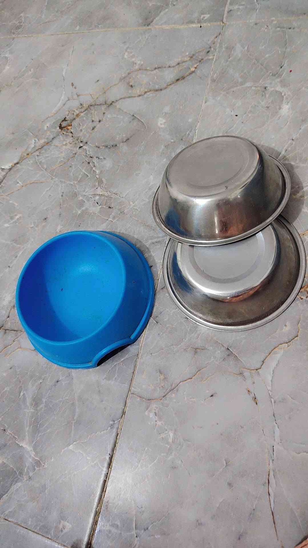 غراض قطط • زعفرانيه دور الصحه