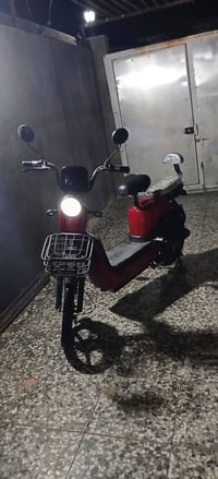 دراجة شحن • مراوس • بطة