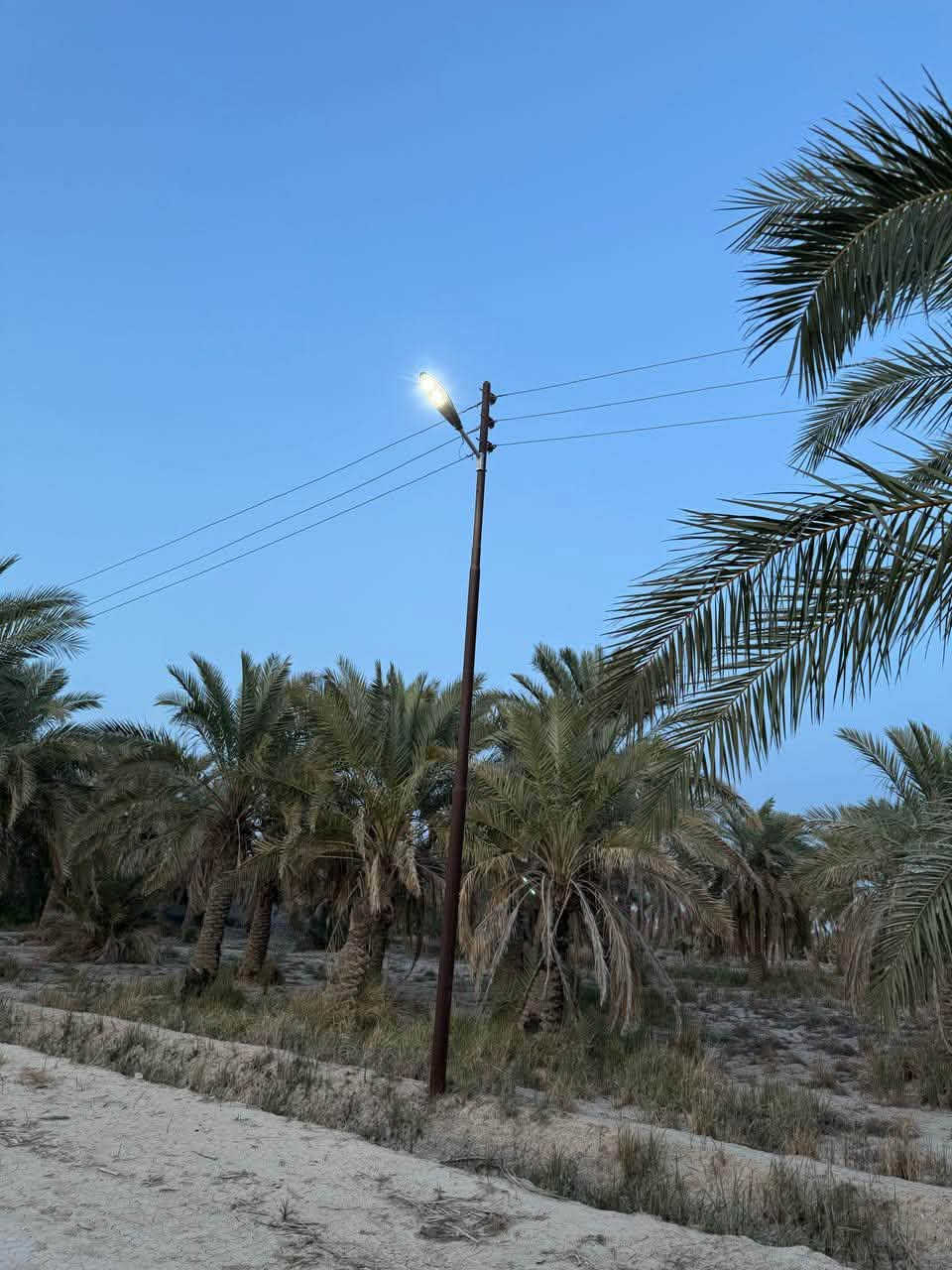 ٦ دونم • طابو سند ٢٥ • سماوه السوير