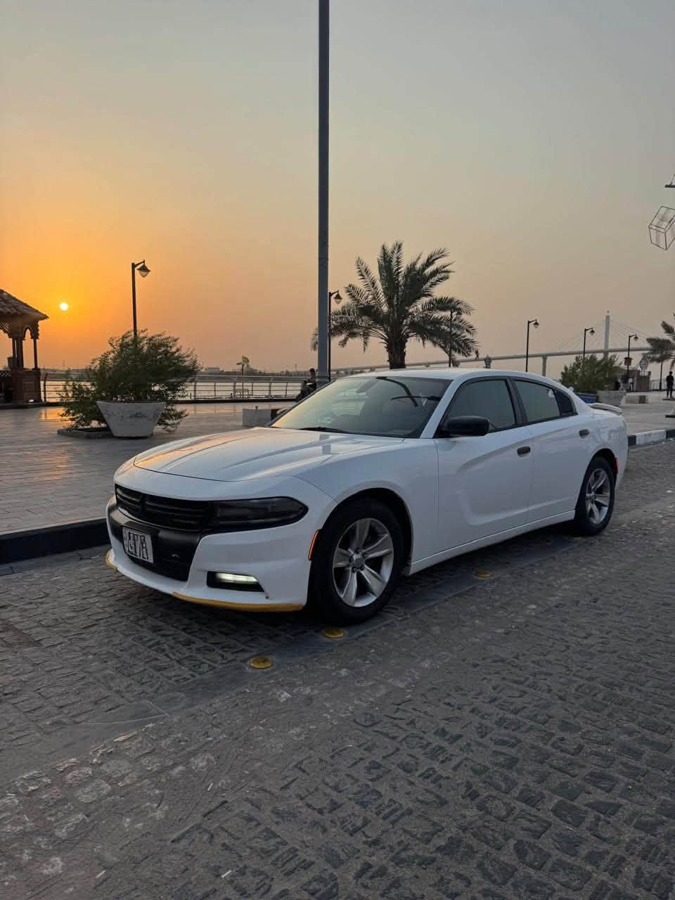 جارجر SXT • ٢٠١٥ • رقم بصرة