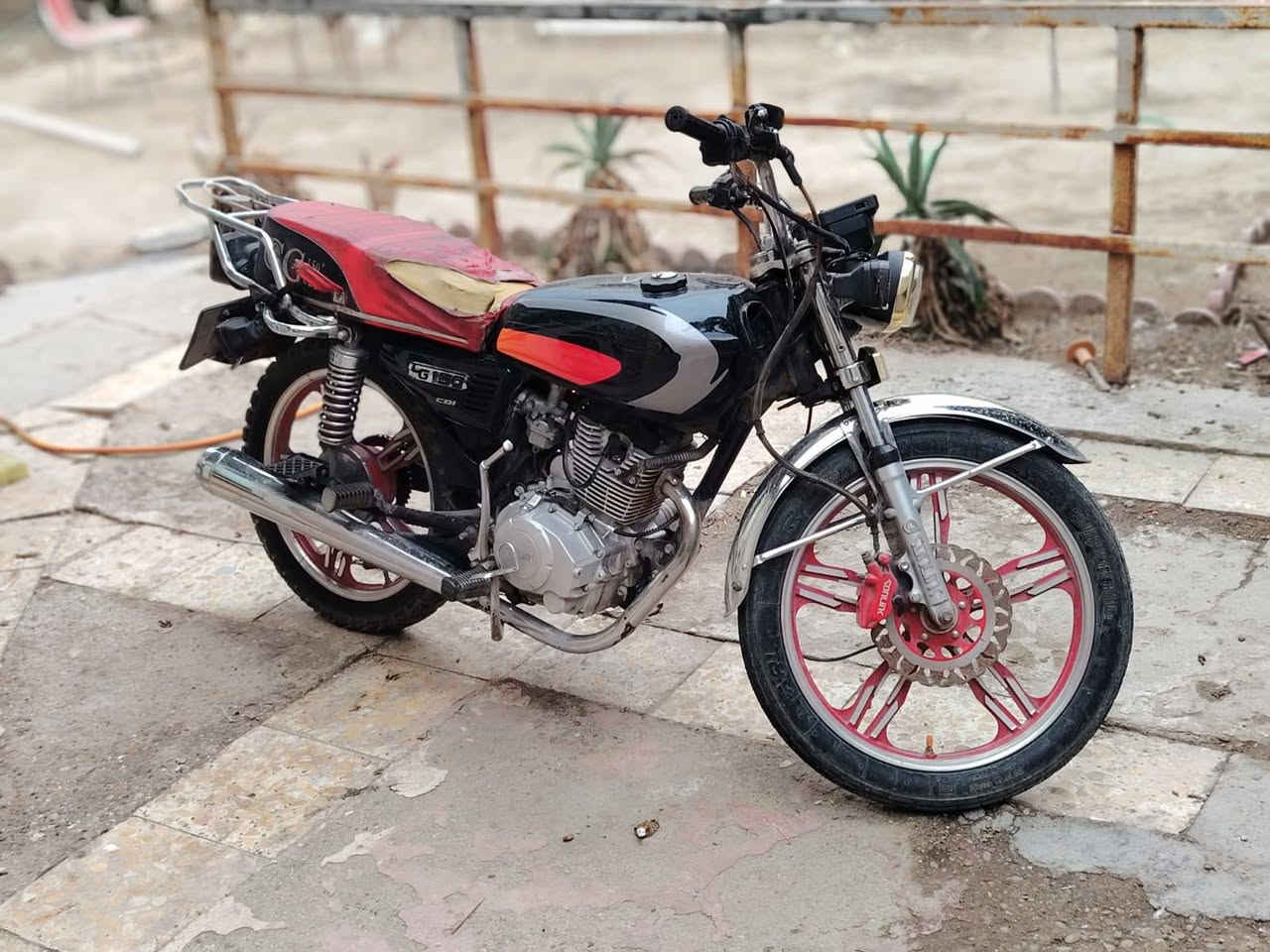 سولنك • ٢٠٢٤ • أوراق ضايعه
