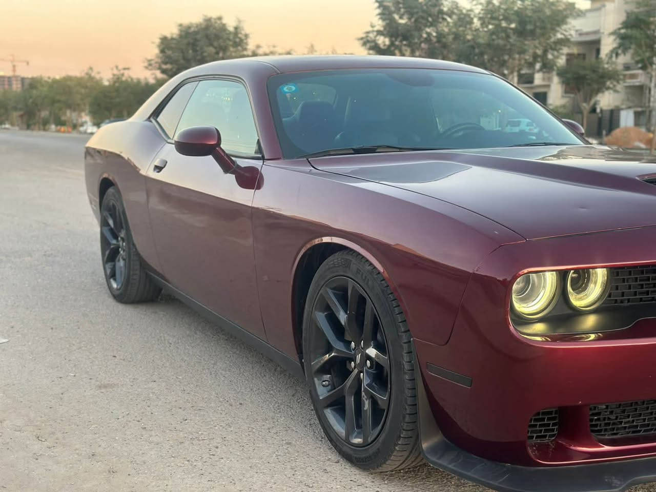جالنجر موديل 2023 GT
بيهة قطعتين جاملغ عكس السائق وبنيد 
ماشية 55 الف ميل 
مرقم بغداد باسمي السيارة
مكاني بغداد الغزالية
المواصفات ؛
كشنات جلد تدفئة كشنات وهل اشياء المعروفة 
صدرهة بلادي ونظيف كلش والسيارة كلش حلوة وكاعدة بالحقيقة 
السعر : 190 الف وبيهة مجال ترهم بيع او مراوس 
رقم الهاتف :***********

نص مكتوب في الصور:
- 43173184F