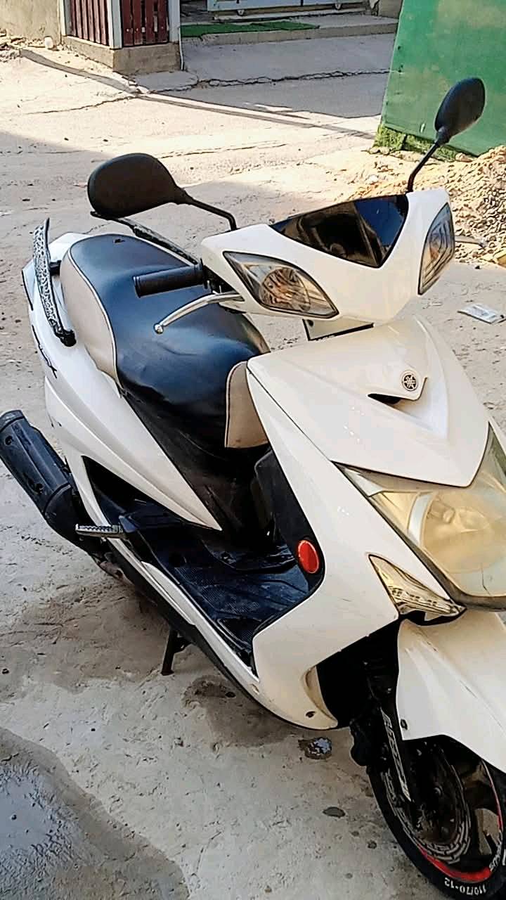 سكنس • ياباني • لد