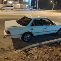 كصيف • مكفولة من الكسر • رقم انجليزي