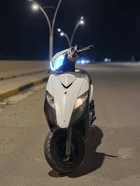 ثعلب • سكنس • سامراء