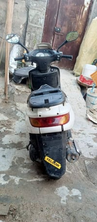 فراشة • واتساب