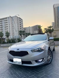 كادينزا • ٢٠١٤ • بدون سبوغ