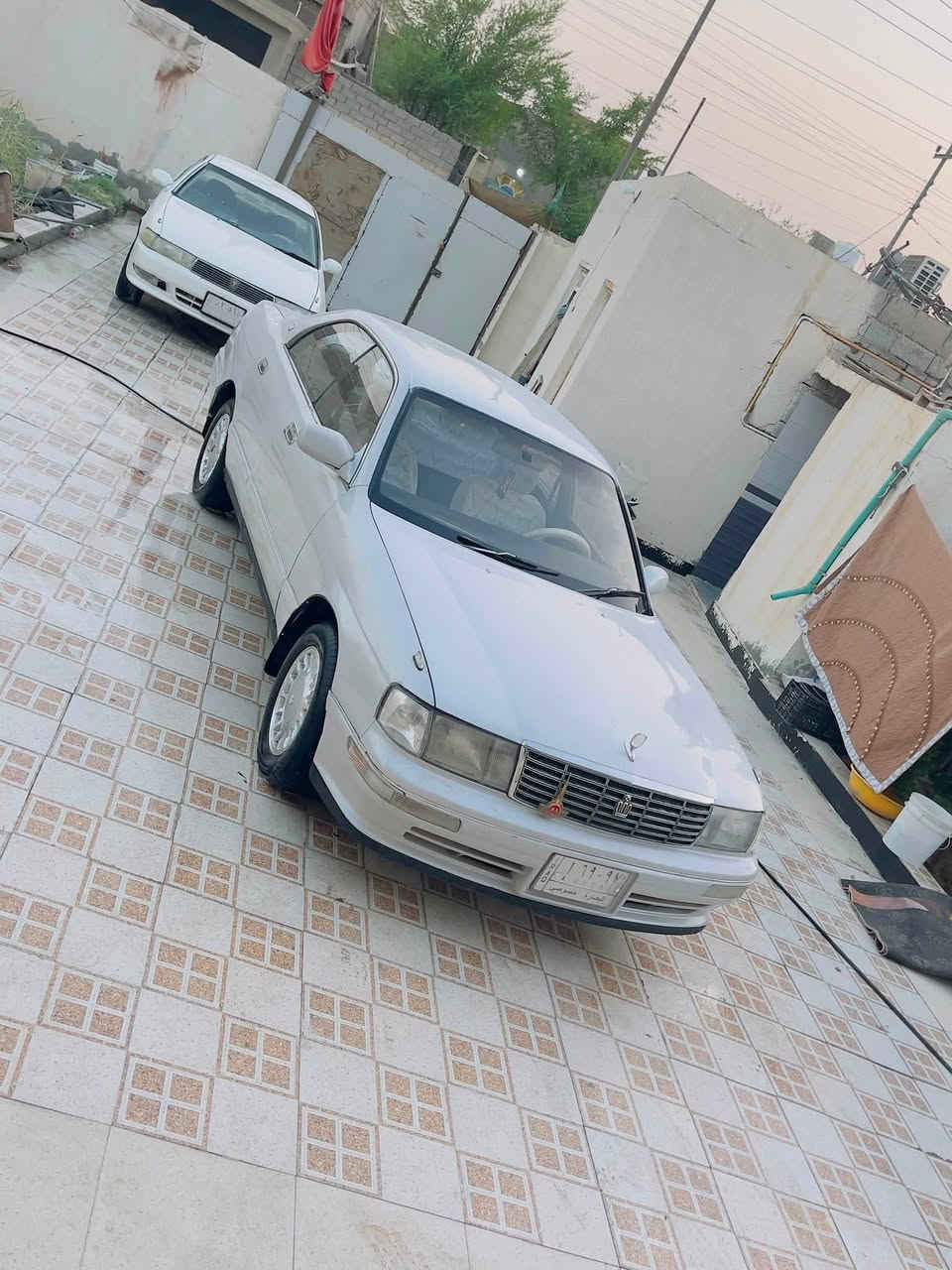 بطة فصل • ١٩٩٣ • كرمة علي