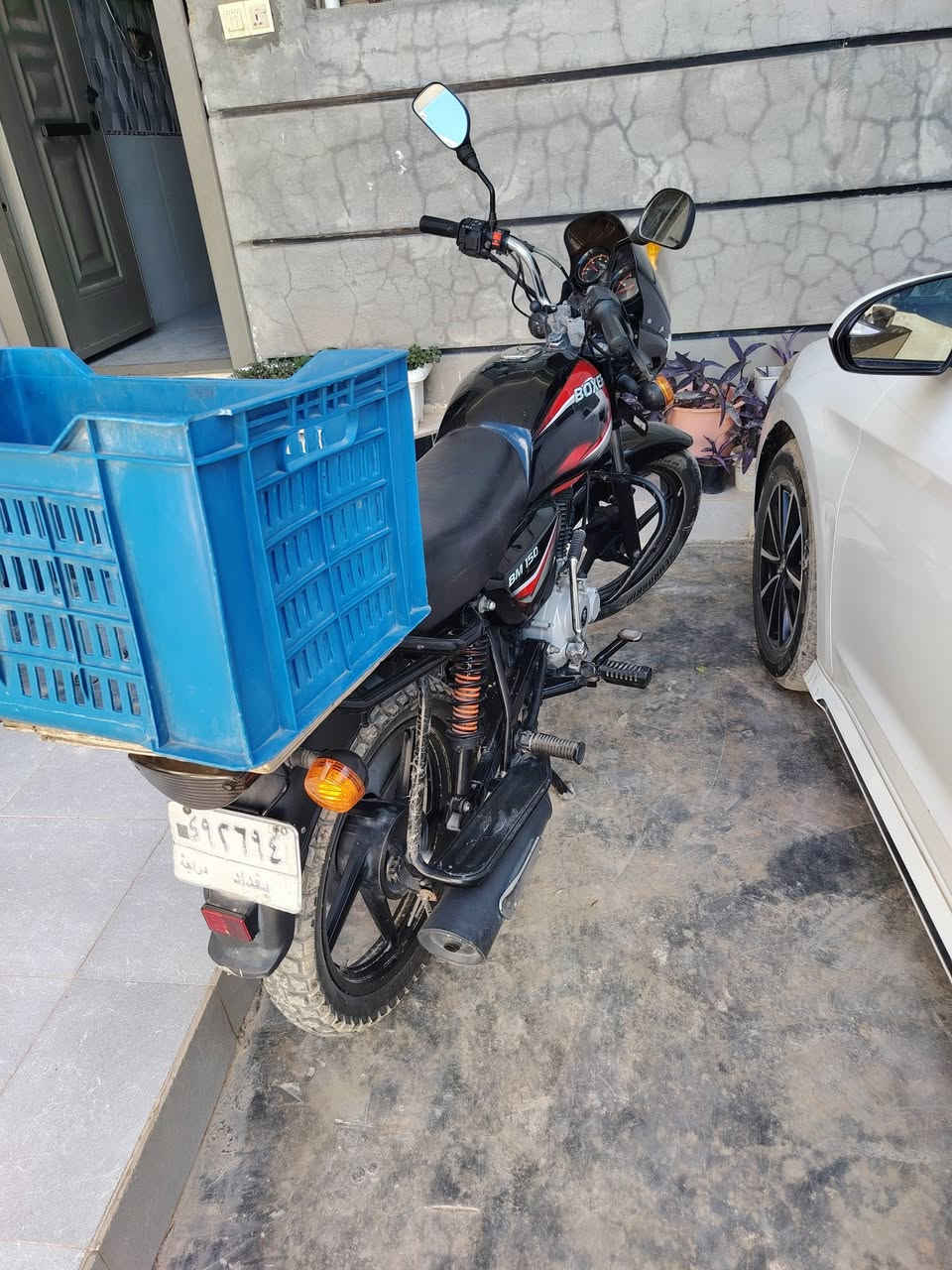 بوكسر • ٢٠٢٣ • بغداد