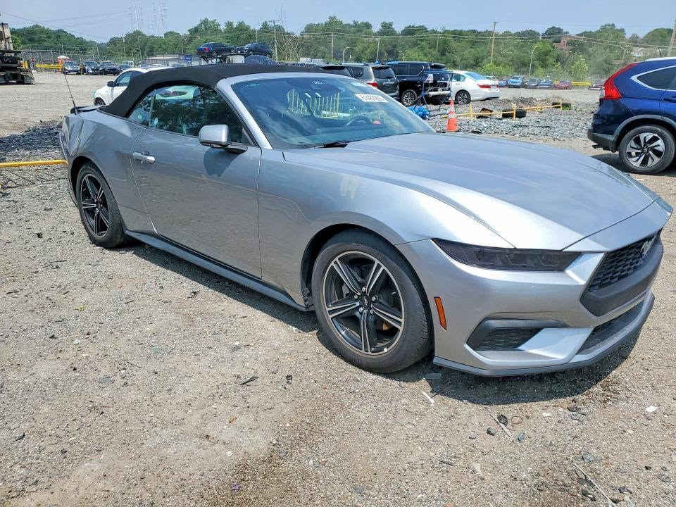 مزاد الثلاثاء\\\ 2025 FORD MUSTANG
♦️️  تاريخ المزاد 2026/9/15
♦️️ الضرر : موضح بالصور 
♦️️ السعر : حسب المزايدة
♦️ الوقت : الحضور الساعة الرابعة مساءا
♦️
⚠️ علما هذا نموذج بسيط من السيارات التي تعرض في المزاد
🏢 وكيل شركة البلداوي الوكيل المعتمد لشركة كوبارت في العراق 
📍 عنوان الشركة:- المحاويل شارع حله /بغداد العام مقابل جامع الامام علي (عليه السلام )
🔸️ للاستفسار الاتصال بالارقام التالية :-
☎️ - -*********** -*********** -
🛑 رقم الشكاوي: *********** واتساب 
⏰ اوقات العمل
يكون الدوام طيلة ايام الاسبوع عدا ( السبت والاحد ) عطلة المزاد 
🧑‍💻 يبدا العمل من الساعة 3:30  ظهرا 🕑 حتى الساعة ال10 مساء 🕙
🙋 نتشرف بزيارتكم لمركز عيون بغداد لمزادات السيارات الامريكية 
#عيون_بغداد
#_لمزادات_السيارات_الاميركية #وكيل_شركة_البلداوي
#الوكيل_المعتمد_لشركة_كوبارت_في_العراق
#استيراد #معارض_السيارات #فتح_حاويات #معارض #مزادات  #وارد_امريكي #سيارات #معارض_الرياض #العراق #الامارات  #الاردن #مشاهير_تيك_تو

نص مكتوب في الصور:
- 61467906
- 61467906X