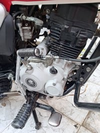 بوكسر • ٢٠٢٣ • اوراق اصلية