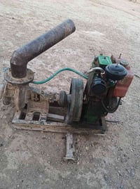 ماطوهندي • شغال • للبيع