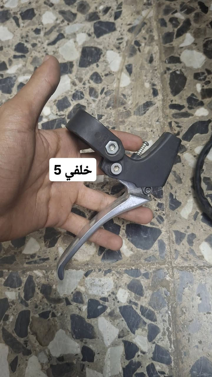 نواعم ماكس • كلج خلفي • سلف