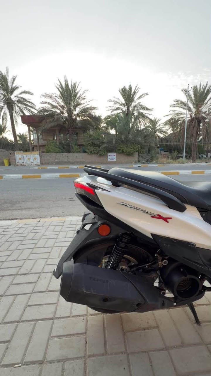 سكنس شمعه كدام العين جمالها والنضافه متحتاج تصرف ربع دينار سعرها يخبل ١٦$ شوف السوك وتعال تحب تتواصل وياي هذا الرقم وبل خدمه ***********
