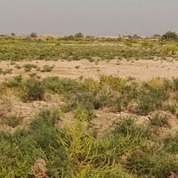 أرض زراعية • ١٢٠ دونم • الشروه قرب المطار