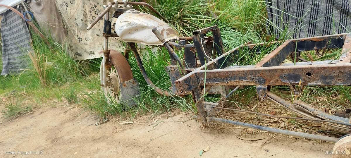 شاصي • اوراق ضايعة • الحر الصغير
