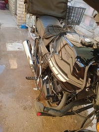 مسجل • سنوية • شاشة واقفة