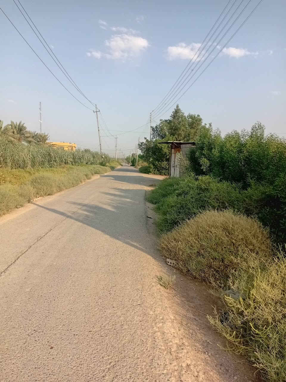 للأيجار ***********
