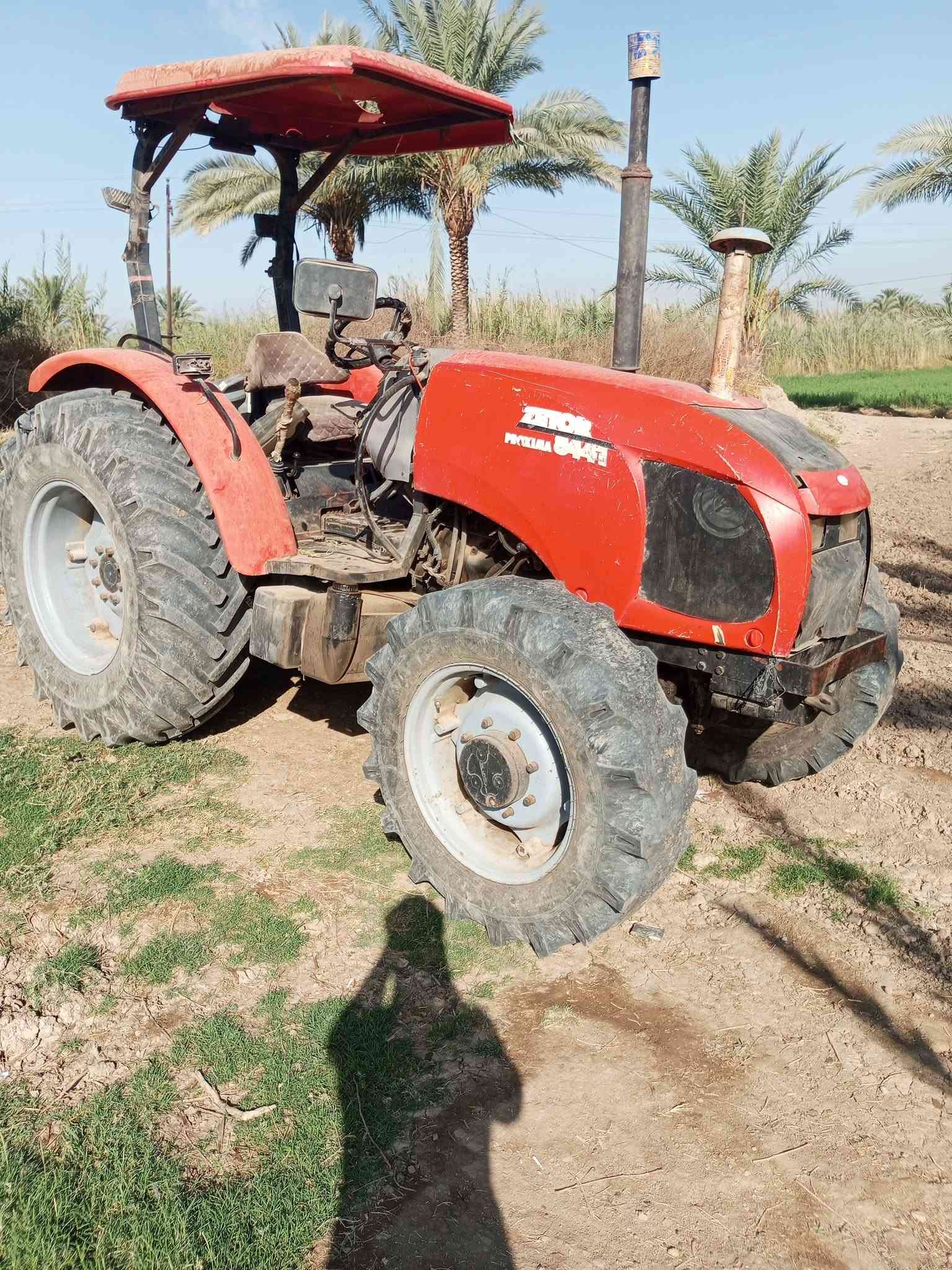 عنتر • زيتور