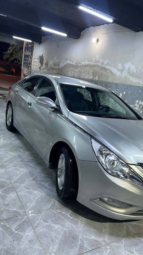 سوناتا • ٢٠١٠ • رانية