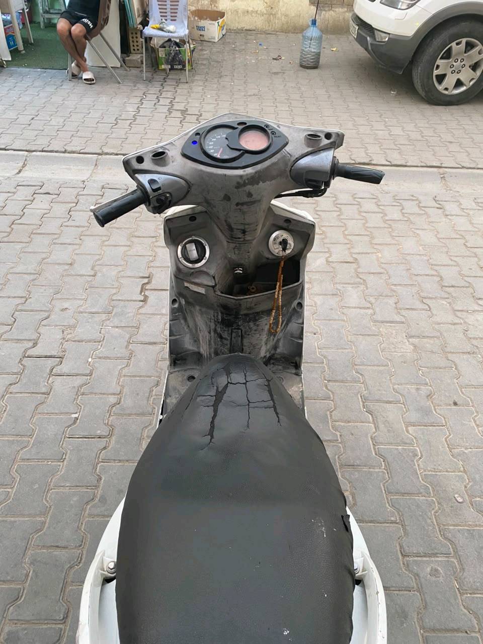 سكنس فحل • نوزل • ياباني