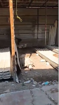 محلاين للبيع • نهاية شارع الفلاح • مناسب حدادة نجارة