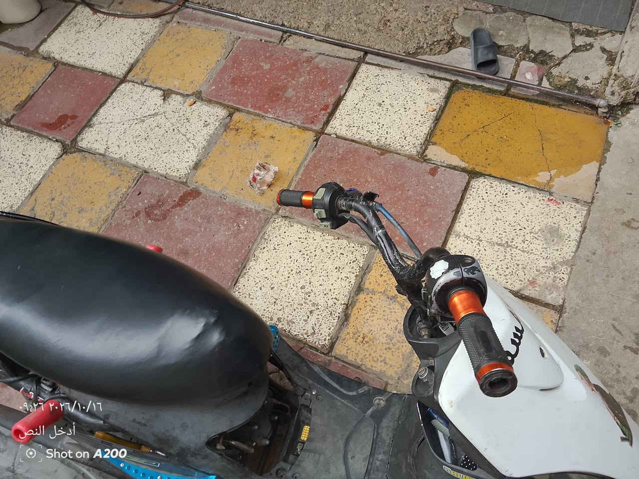ماكس • نضيفه • معدل