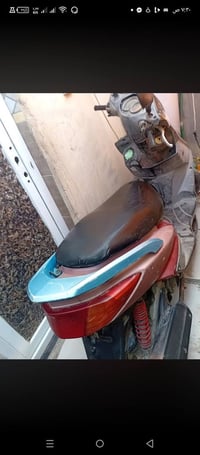 سكنس فحل • كايم محرك • حي الجهاد