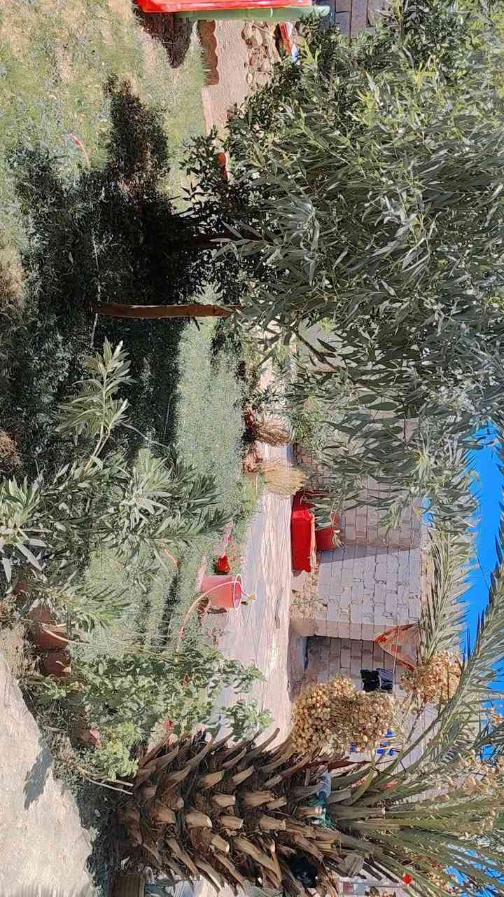 بيت زرعي • ٢٥٠م • غرفتين