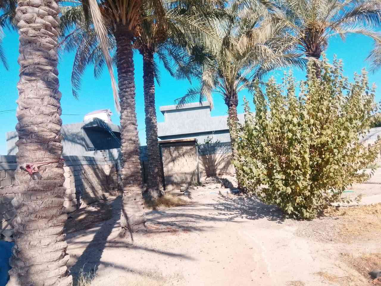 قطعه ارض الف متر وبيه بيت غرفتين ومطبخ وحمام الموقع الشهابي خلف معمل سمنت ***********
